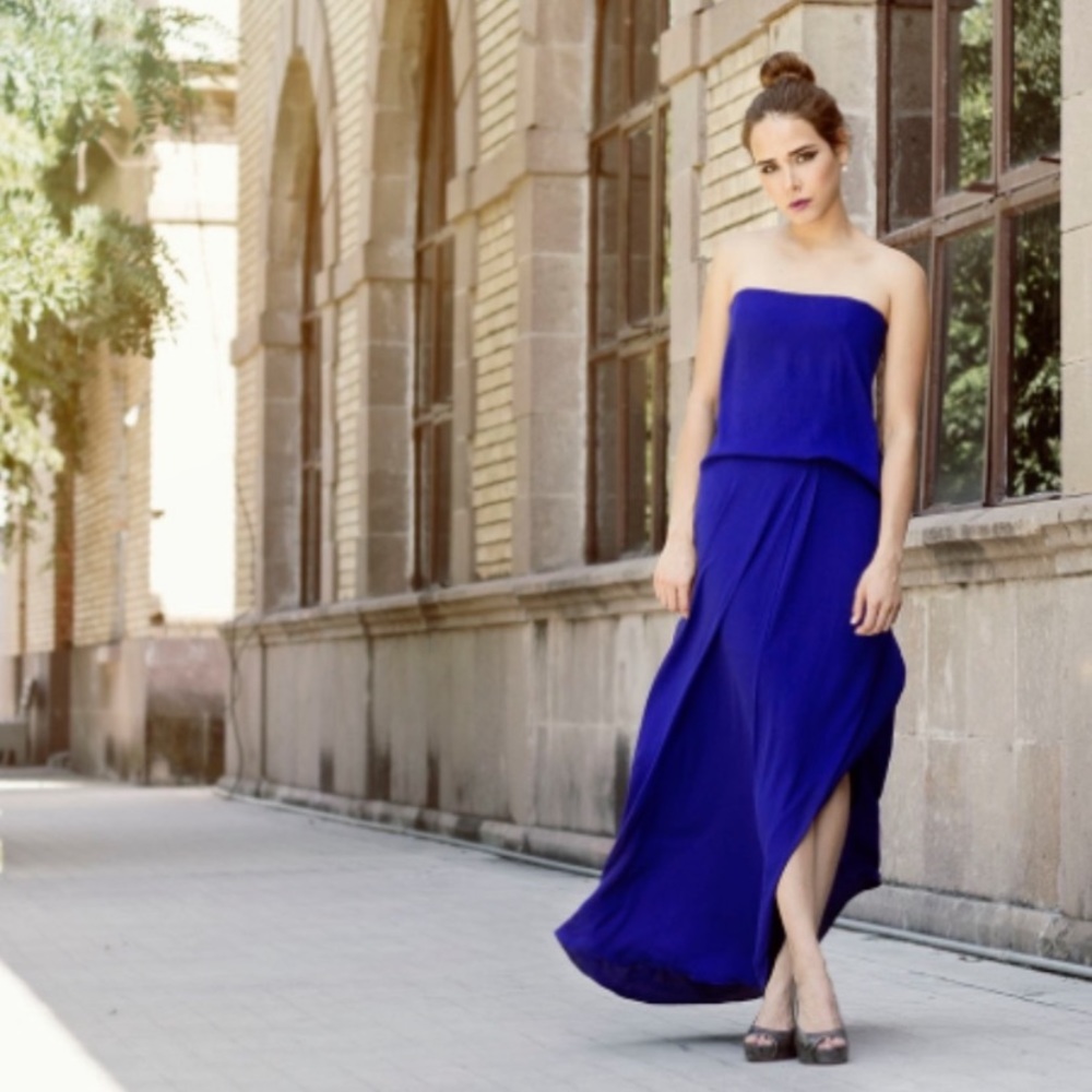 Blue BCBG Maxazaria Dress NEW WITH TAGS
